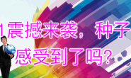 百蔬网被关注:双11震撼来袭,种子电商感受到了吗?