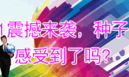 百蔬网被关注：双11震撼来袭，种子电商感受到了吗？