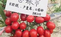 【强力执法】广西菜农在增城种菜用高毒农药喷四季豆被刑事起诉