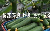 【原创文章】2018乐昌蔬菜良种良法示范会，百蔬君帮做技术支撑