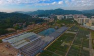 2018广东种博会地展新优品种陆续育苗定植