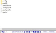 【原创文章】WDCP系统的ftp用户名和系统用户名不能一样